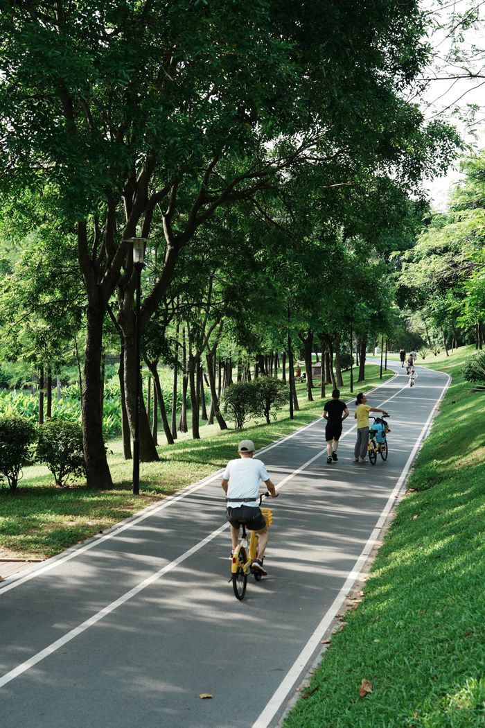 about-img A serene park scene with people cycling and walking on a tree-lined path.